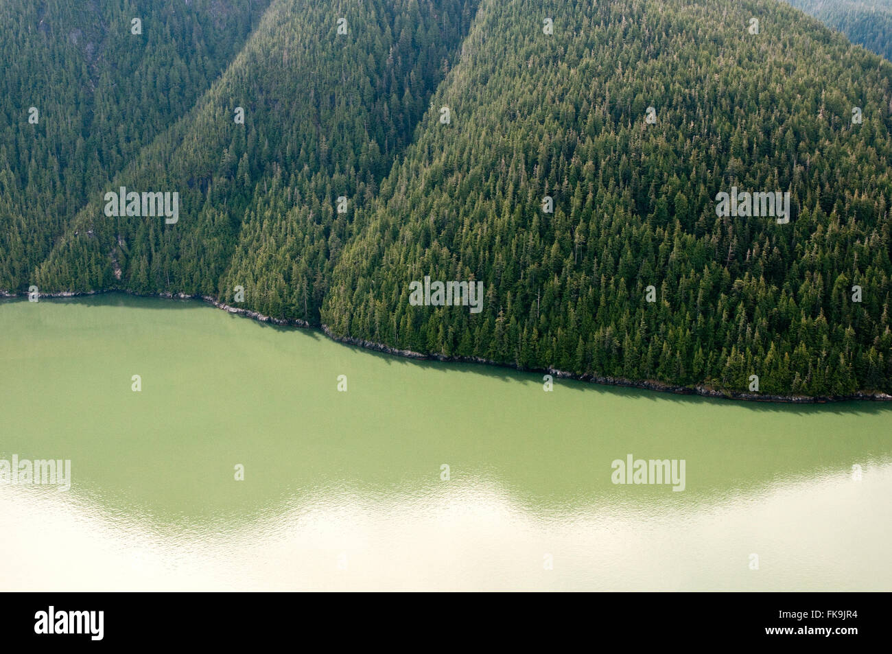 An aerial view of the glacial silt filled waters of Rivers Inlet, in the Great Bear Rainforest, central Pacific coast of British Columbia, Canada. Stock Photo