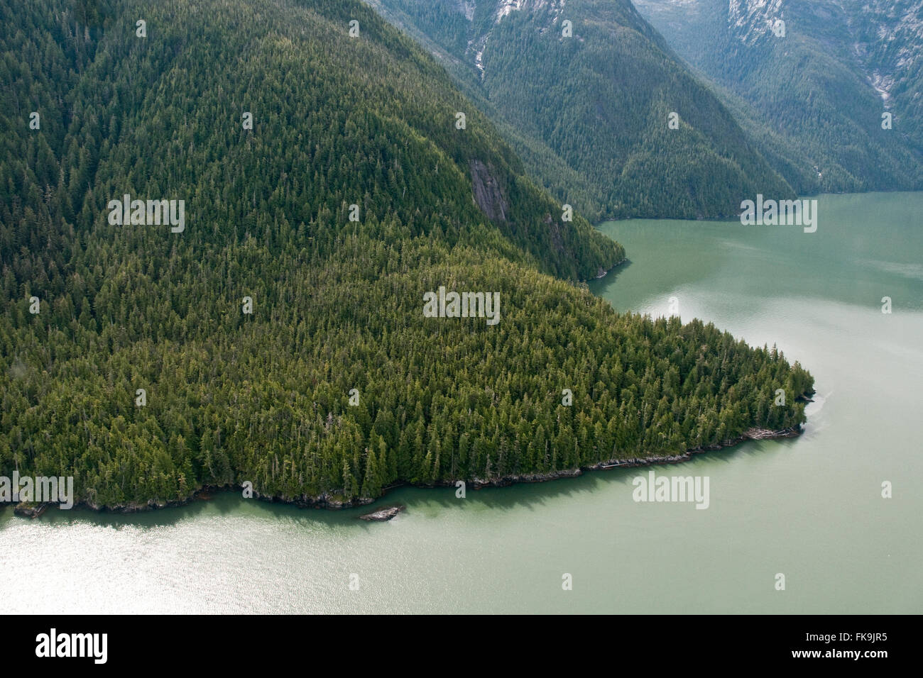 An aerial view of the glacial silt filled waters of Rivers Inlet in the Great Bear Rainforest of British Columbia, Canada. Stock Photo