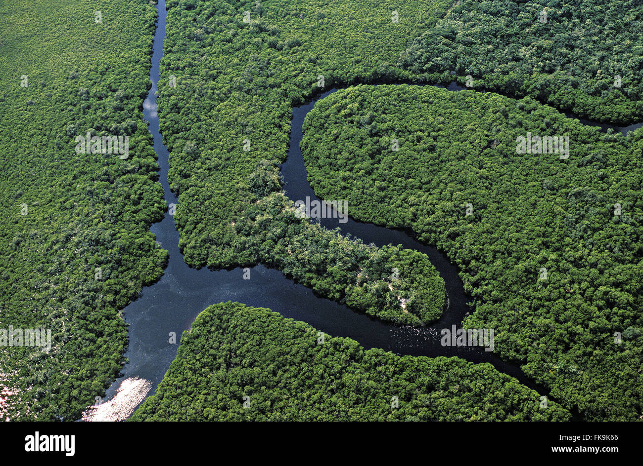 River on the island of parts - Superagui National Park Stock Photo