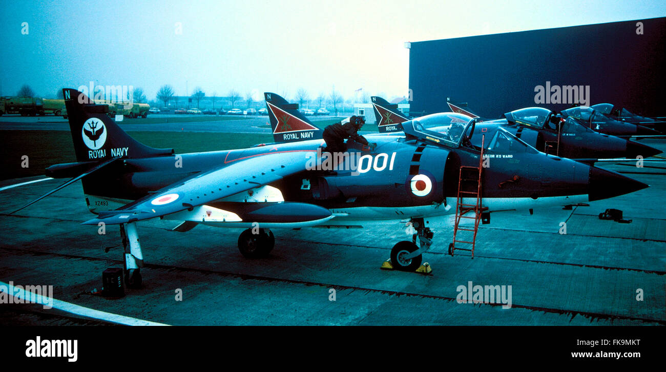 AJAXNETPHOTO. 1970S (APPROX). YEOVILTON, ENGLAND. - SEA HARRIERS FROM 800 SQUADRON ROYAL NAVY BEING READIED FOR FLIGHT.   PHOTO:VIV TOWNLEY/AJAX   REF:22412/2/2 Stock Photo