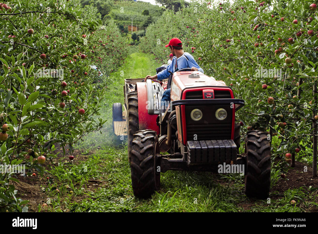 Litter vehicle hi-res stock photography and images - Alamy