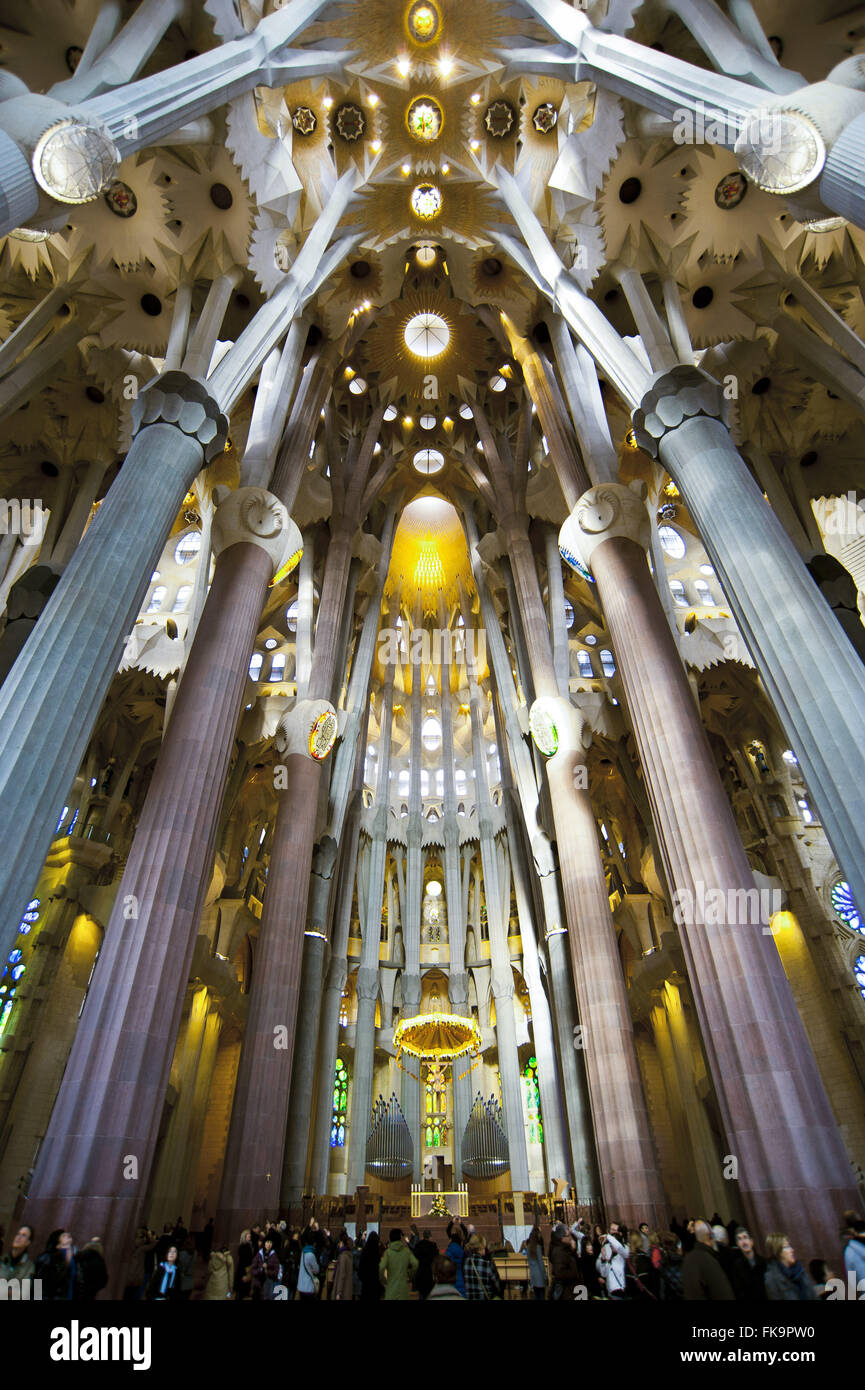 Inside view of the Basilica of the Sagrada Familia - Antoni Gaudi project Stock Photo