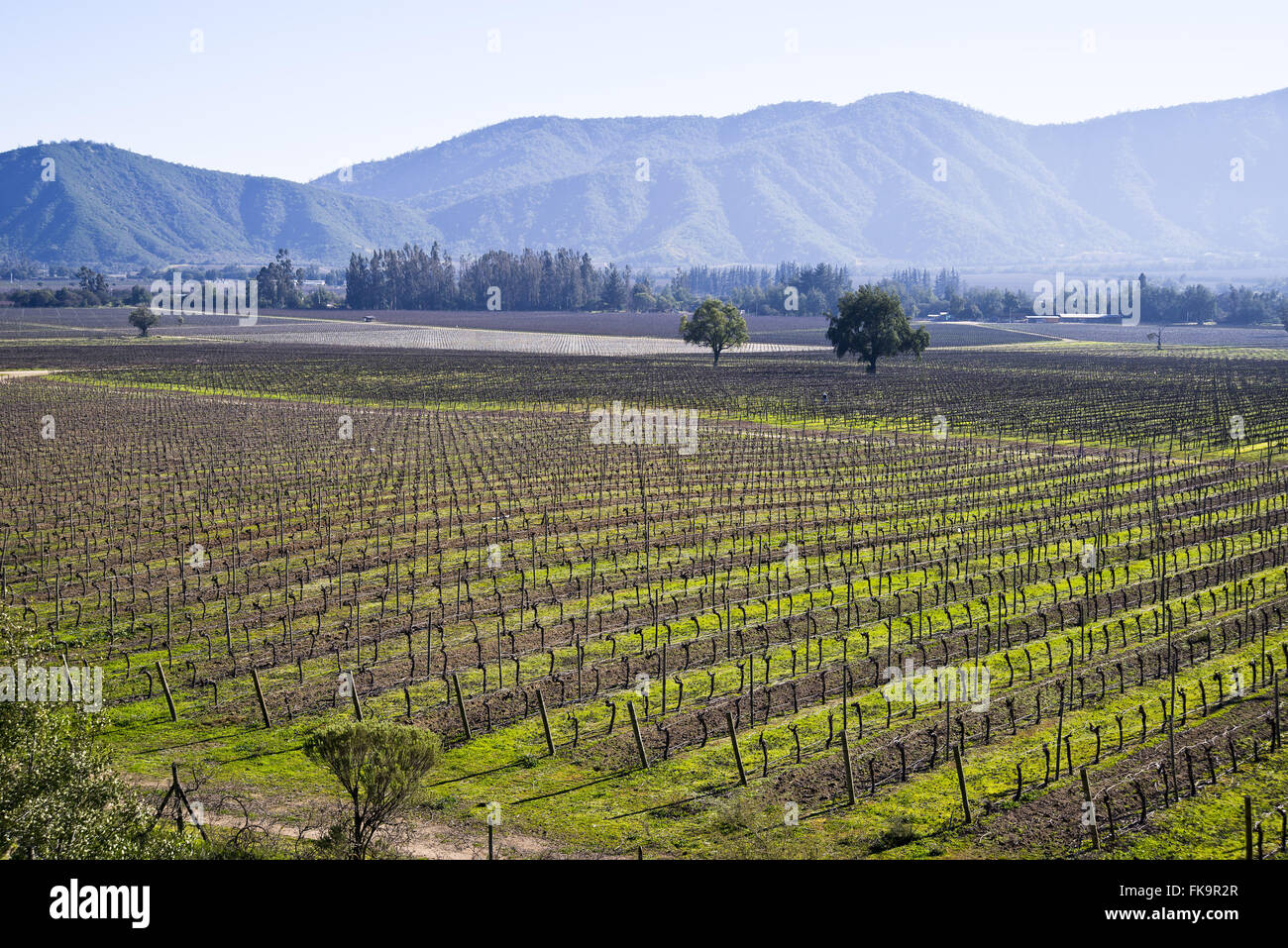 Crop field chile hi-res stock photography and images - Alamy