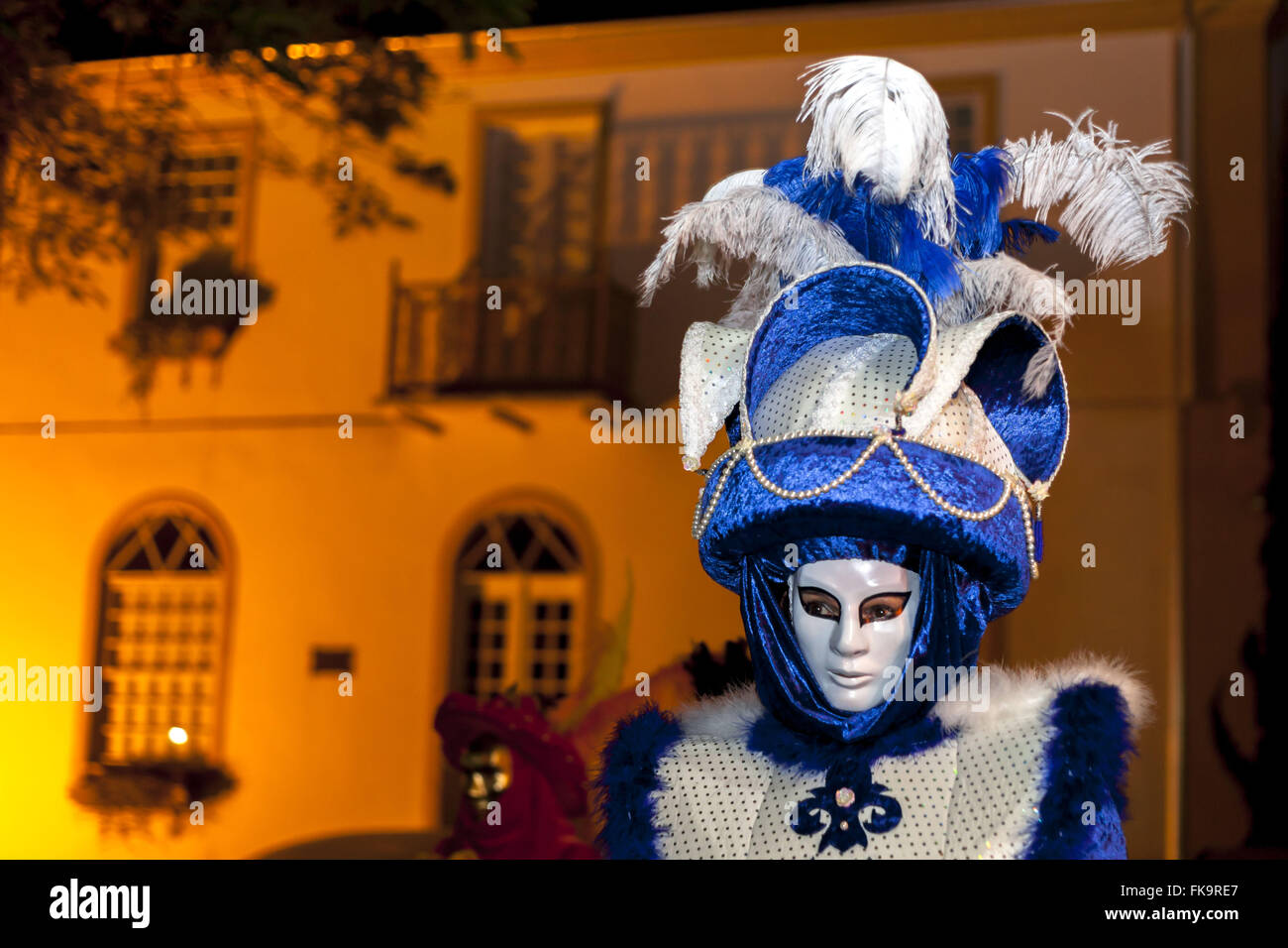 Reveler with mascara celebrating Carnevale di Venezia called Stock Photo