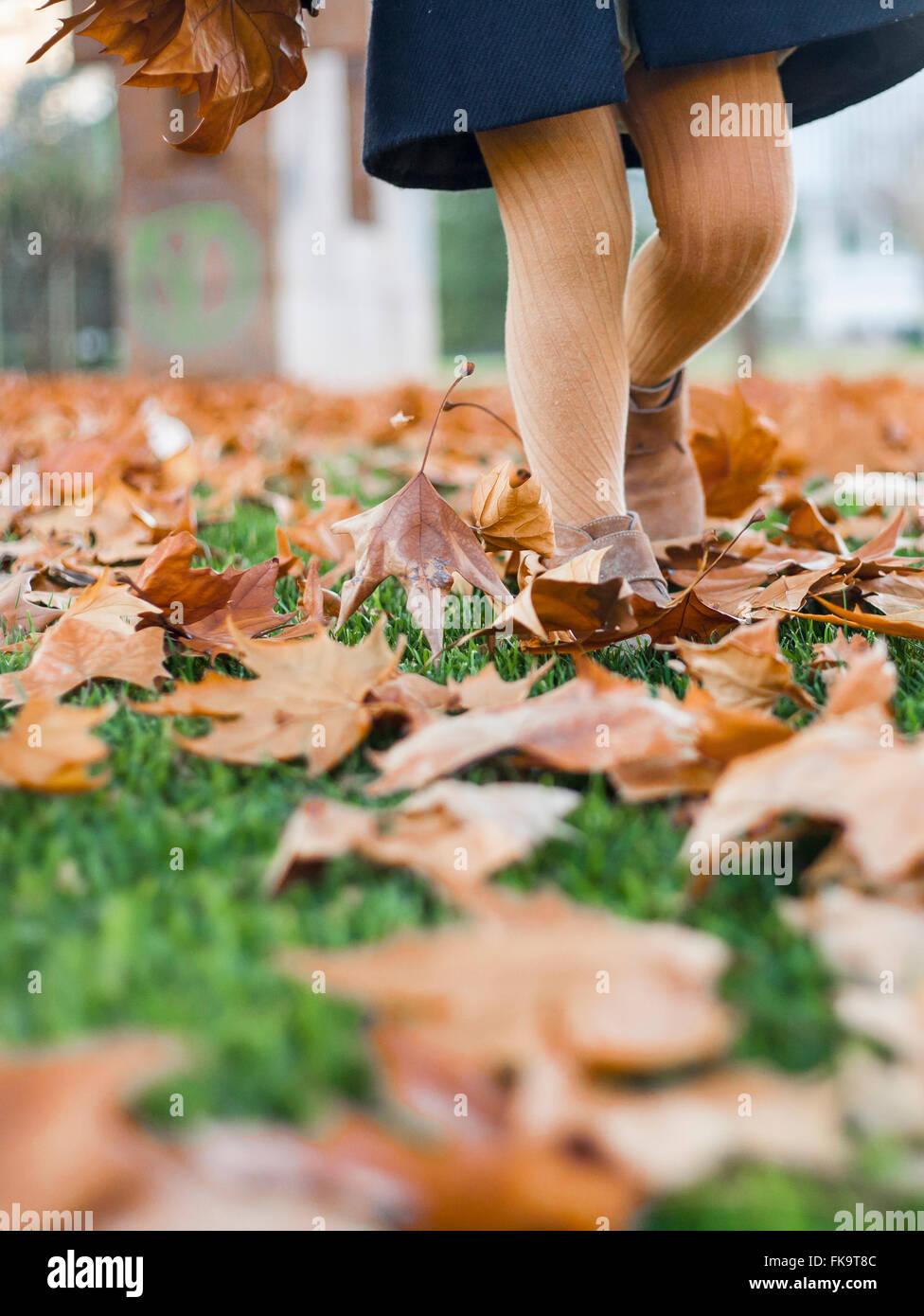 Happy little girl playing with autumn leaves in the park. She is ...