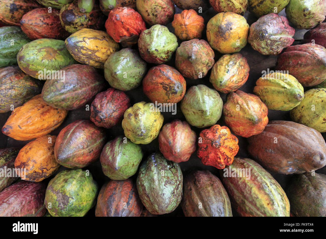 Detail of cocoa sold on Rua Santa Rosa Stock Photo - Alamy