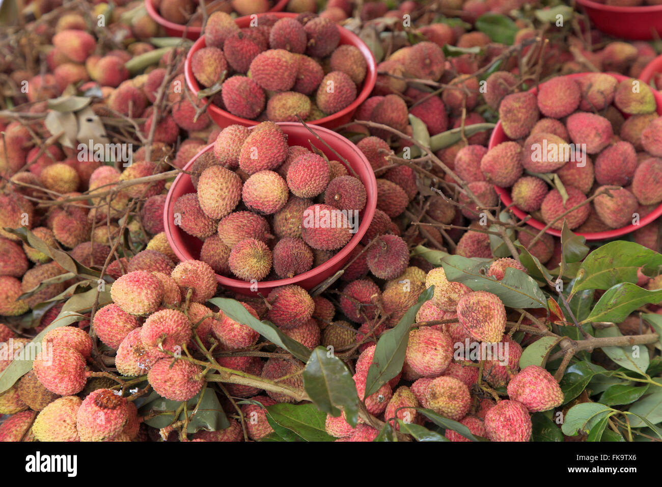 Detail of lychee sale in Santa Rosa Street Stock Photo