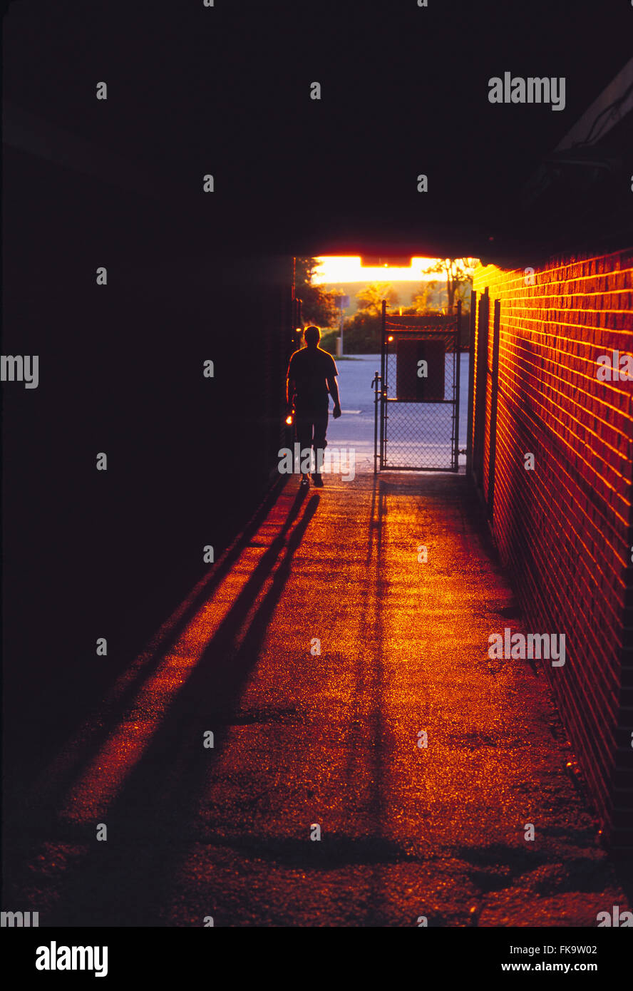 Sunset illuminates male runner leaving stadium track through tunnel Stock Photo
