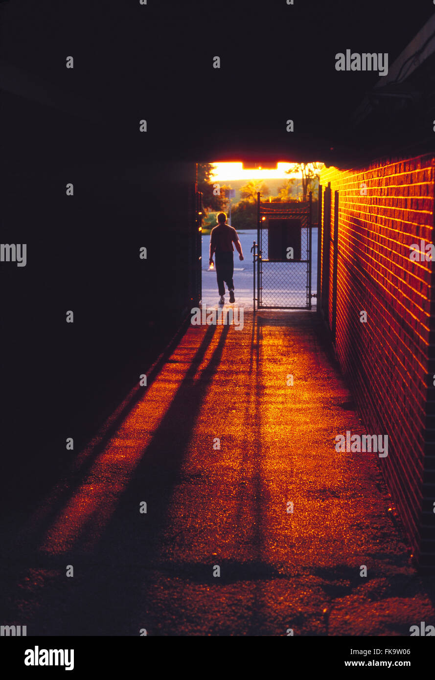 Sunset illuminates male runner leaving stadium track through tunnel Stock Photo