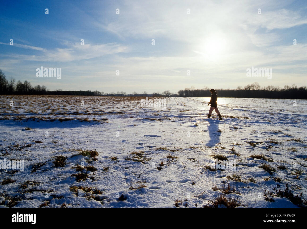 Woman hiking across snow covered farm fields at sunset Stock Photo
