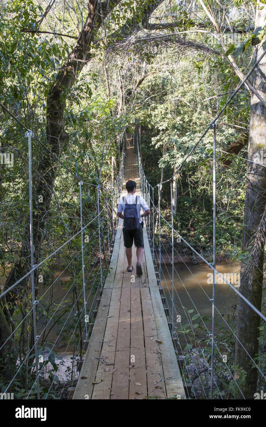 Tourist crossing the wooden bridge over the River Jacare Pepira through the rain forest Stock Photo