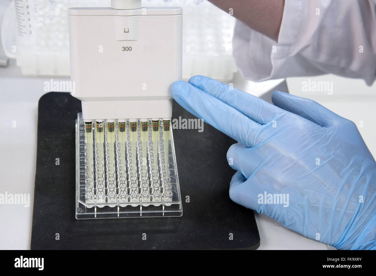 Work in clinical laboratory Stock Photo
