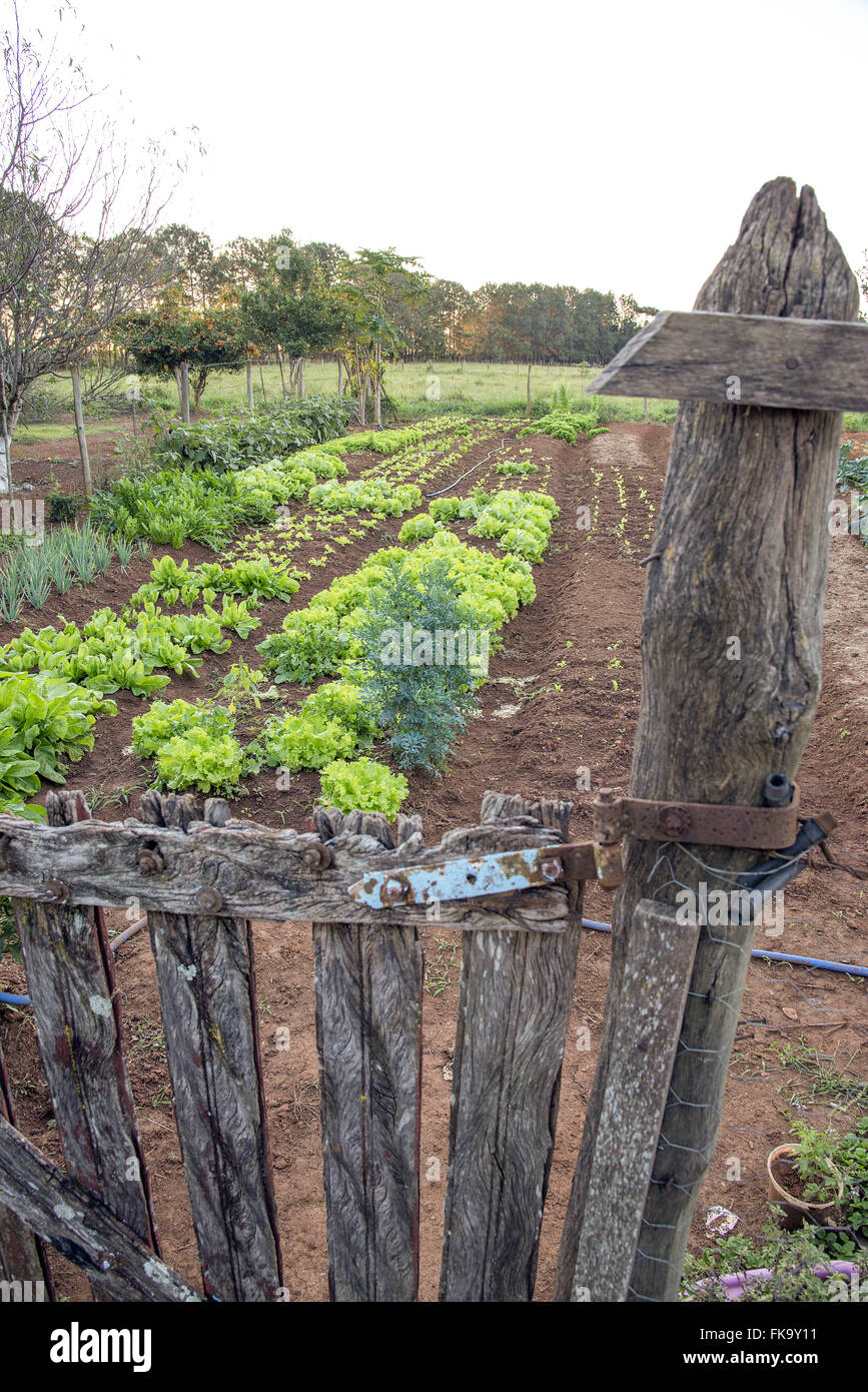 Agricultura organica hi-res stock photography and images - Alamy