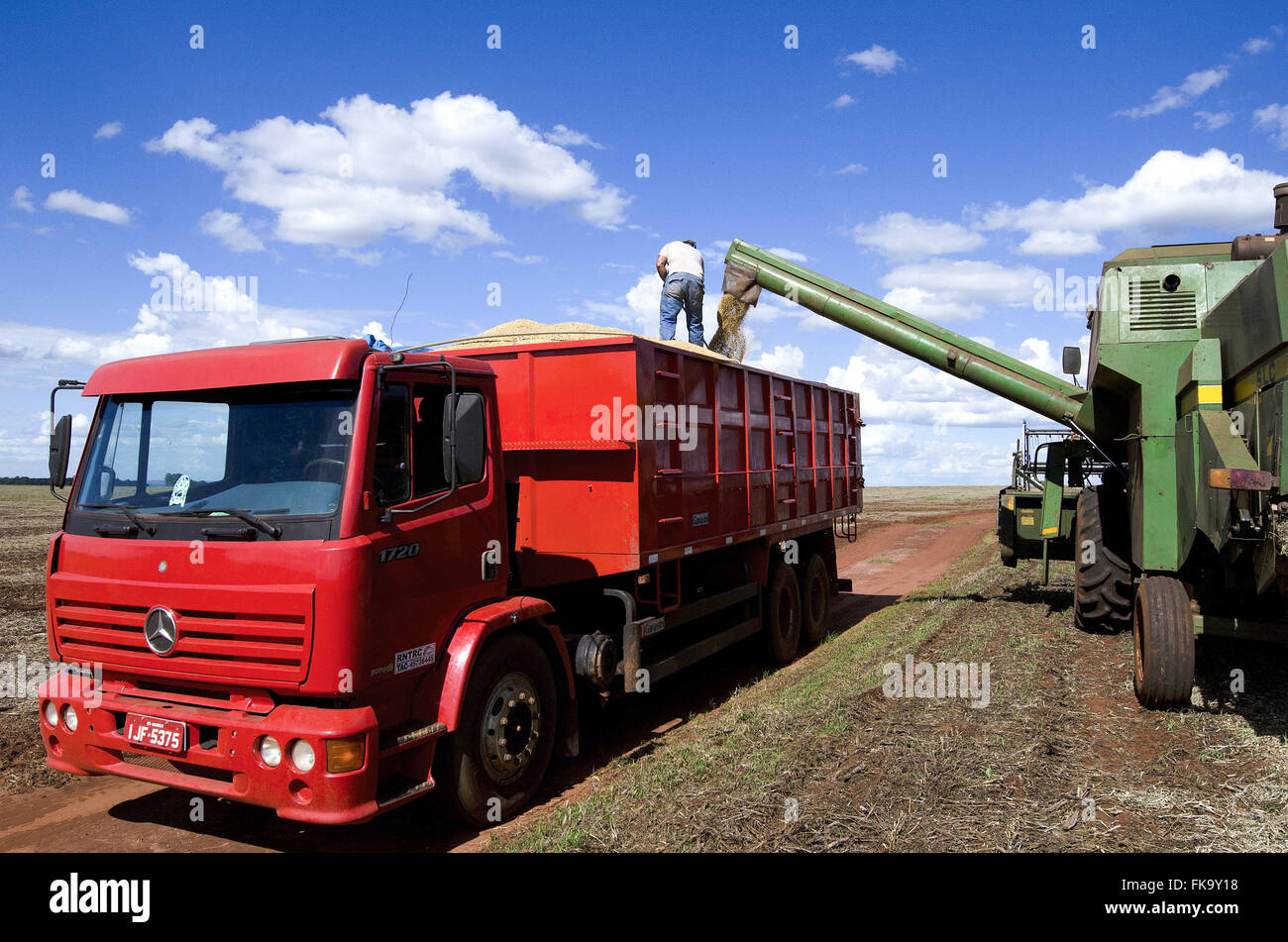 Mechanical harvesting of soybeans Stock Photo Alamy