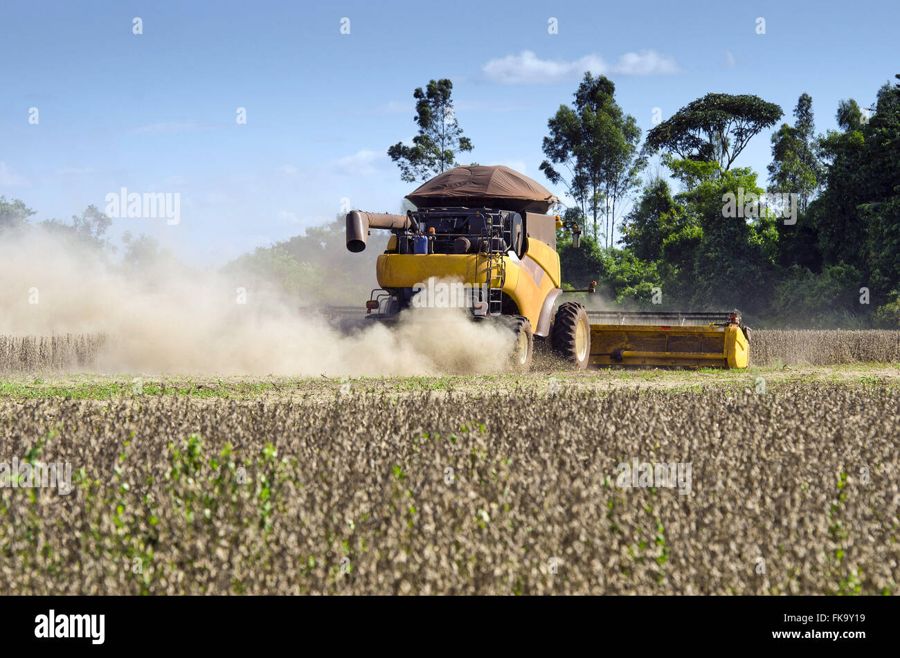 Mechanical harvesting of soybeans Stock Photo Alamy