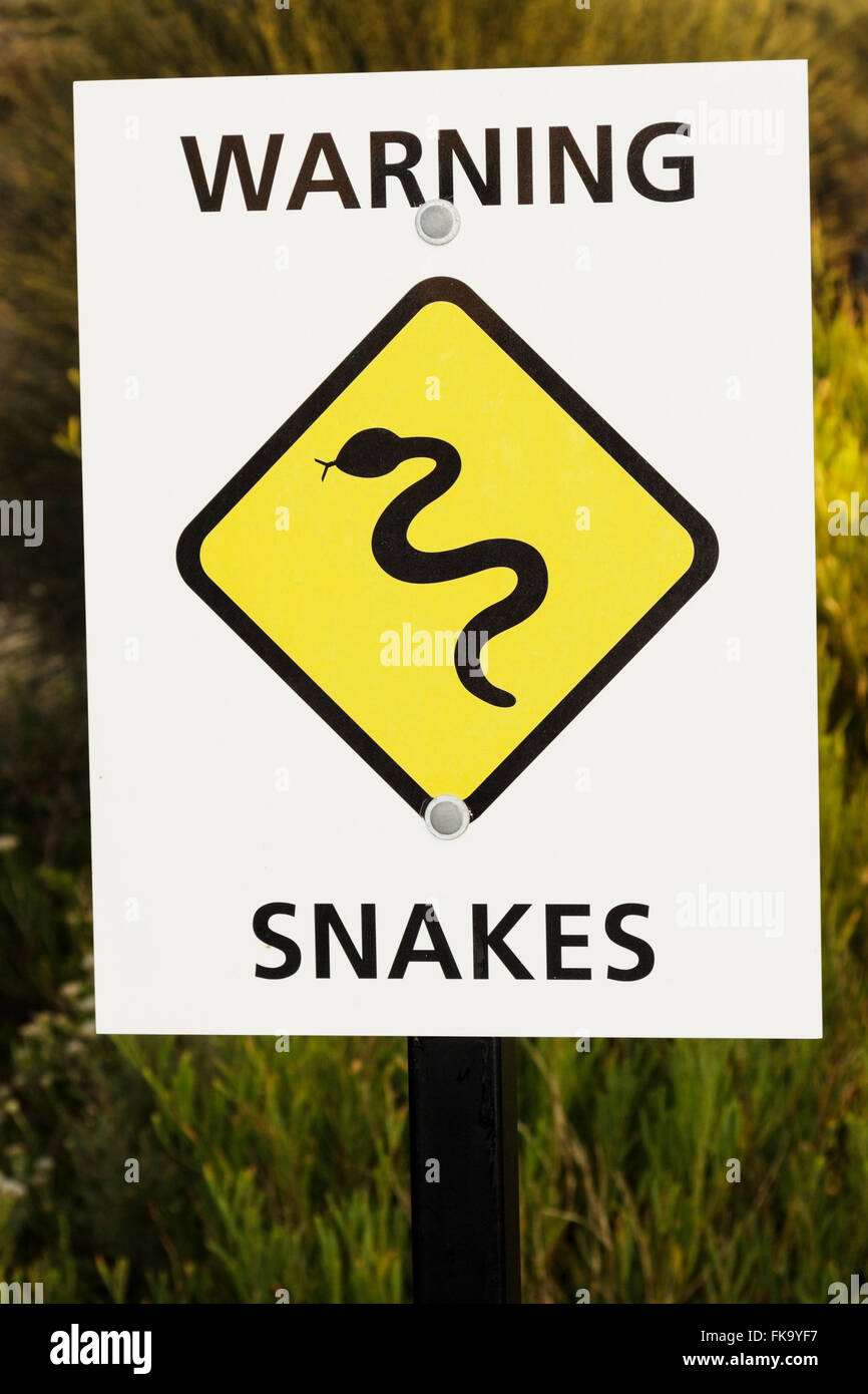 Snake warning sign australia hires stock photography and images Alamy