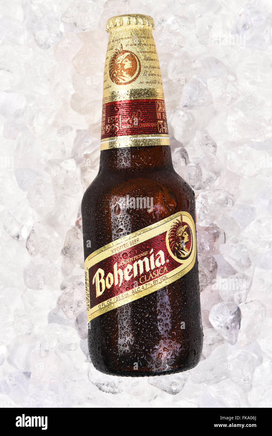 Bohemia Beer bottle on a bed of ice. Vertical format. Stock Photo