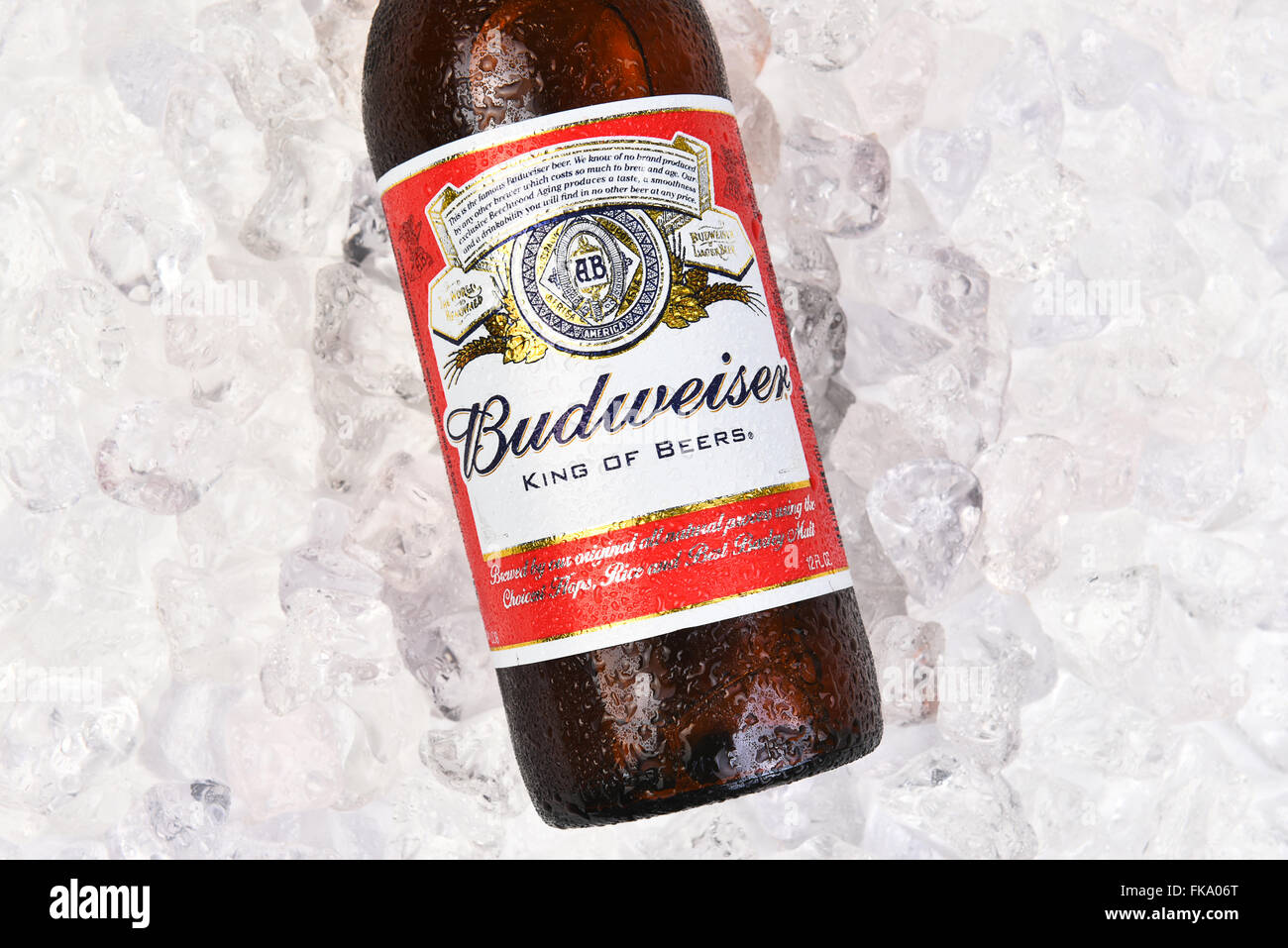 Budweiser beer bottle hires stock photography and images Alamy