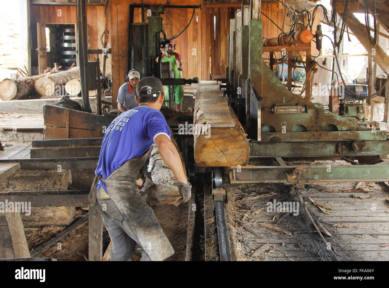Workers chopping wood in sawmill Stock Photo