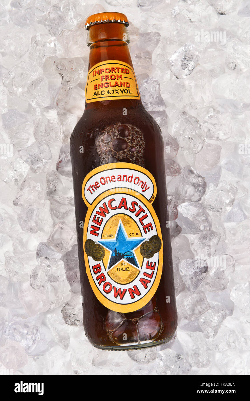 Newcastle Brown Ale on a bed of ice. Vertical format. Stock Photo