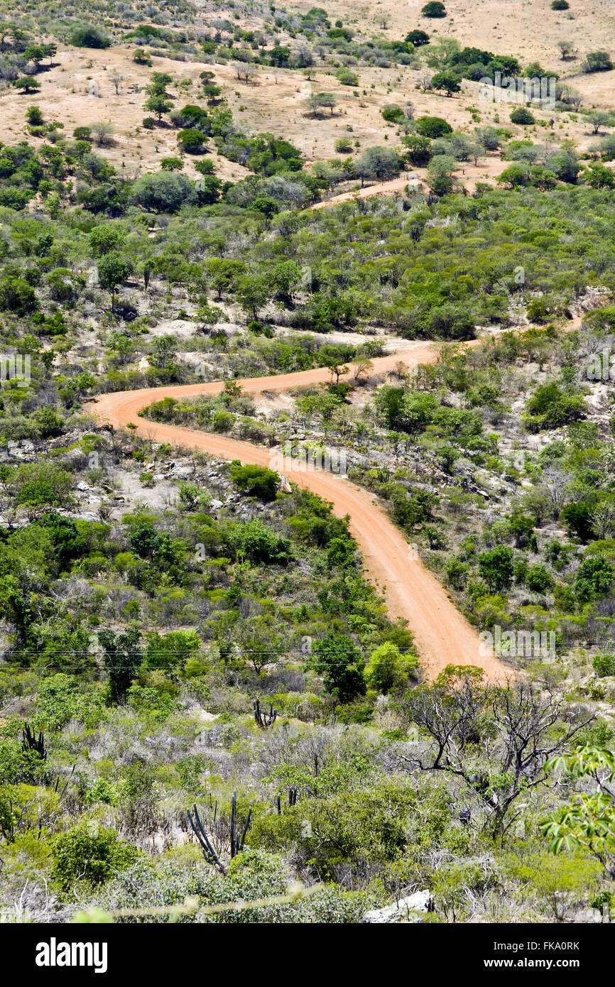 Road through the land of scrub vegetation Stock Photo