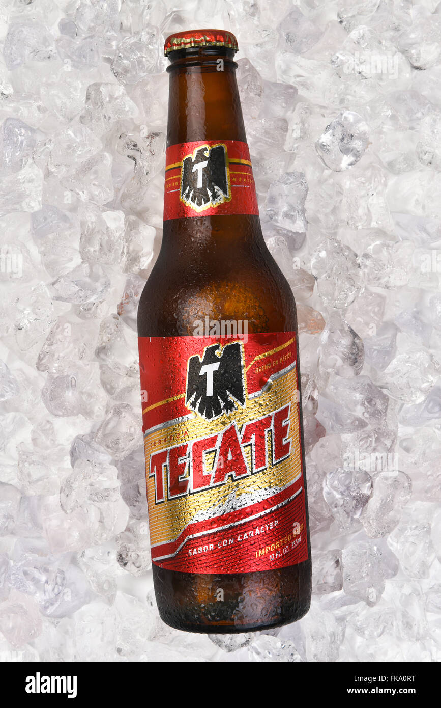 Tecate Beer Bottle on a bed of ice, Vertical format. Stock Photo