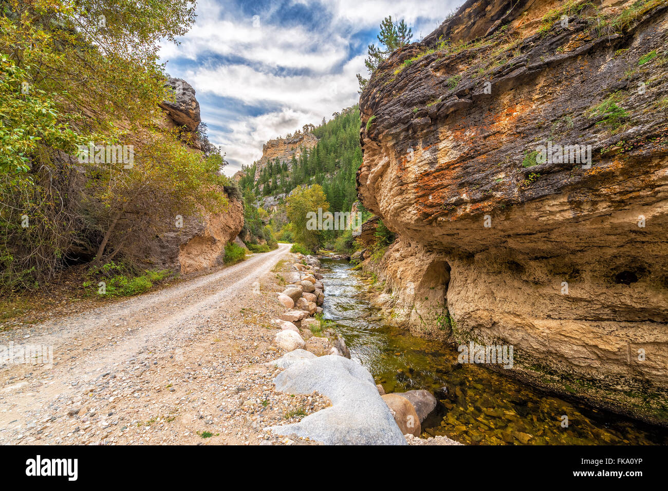 Road through Crazy Woman Canyon in Bighorn National Forest near Buffalo, Wyoming Stock Photo