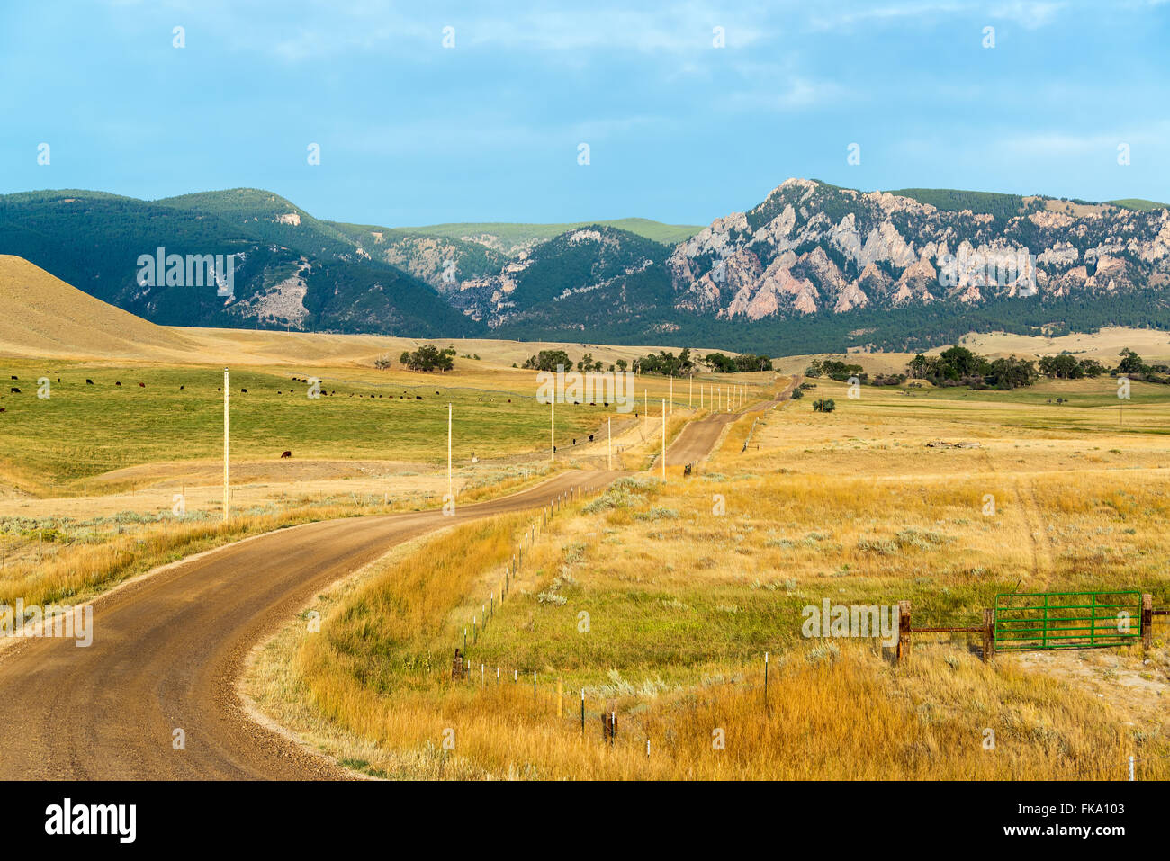 Dirt road leading through ranches to the Bighorn Mountains near Buffalo, Wyoming Stock Photo