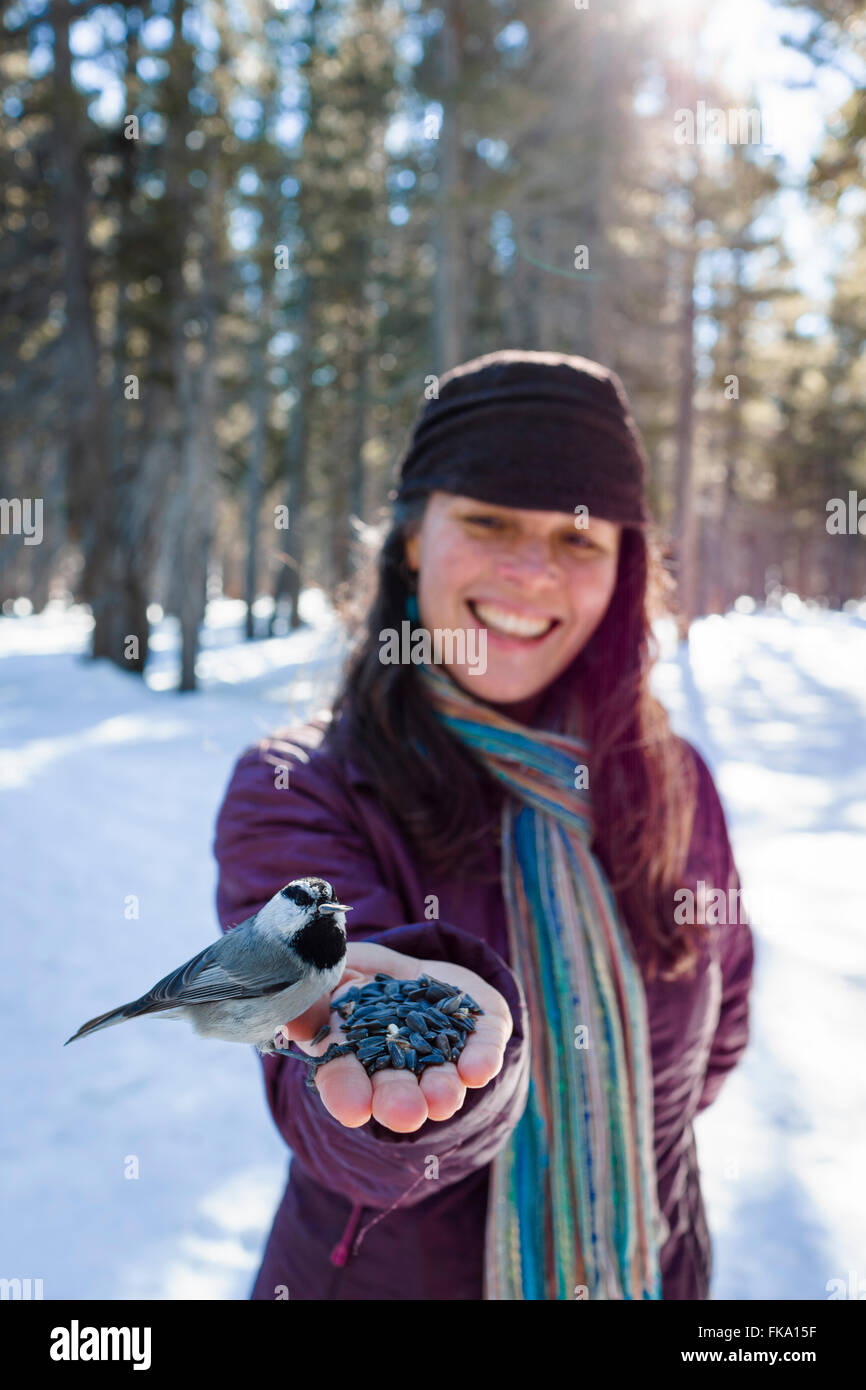 Wild Chickadee birds eat out of stylish woman's hands in snowy forest