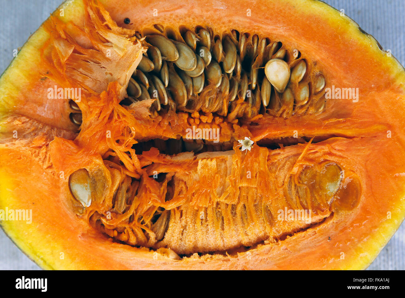 Detail of pumpkin cut in half for sale in commerce city Stock Photo
