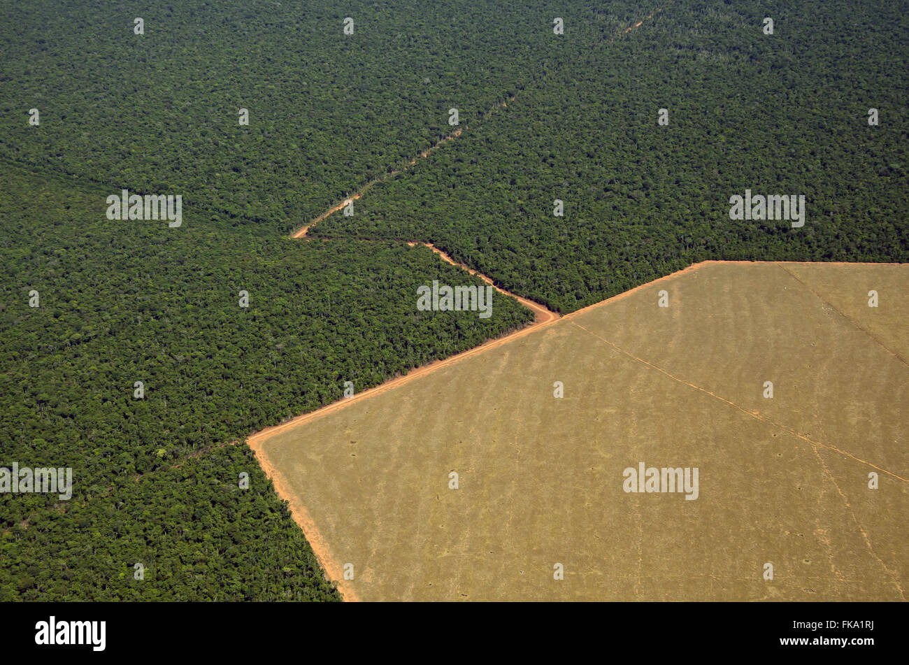 Aerial view of the area preserved and limit area deforested for farming in the middle of Savana Stock Photo