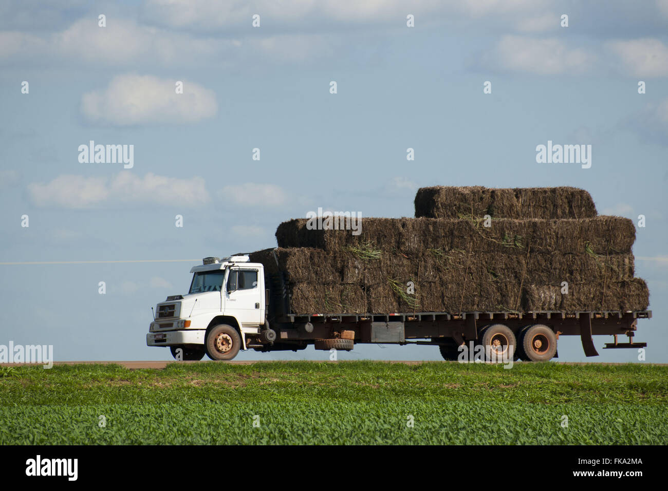 Truck transporting grass traveling on US-153 at the time of local administrative Rondonopolis Stock Photo