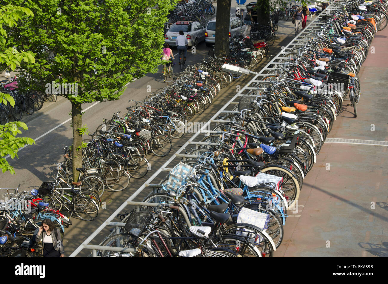 Bicycle parking in Central Station Centraal Station Stock Photo Alamy