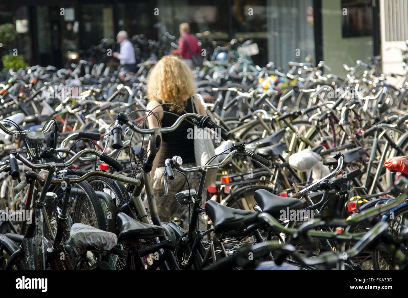 Bicycle parking in Central Station Centraal Station Stock Photo Alamy