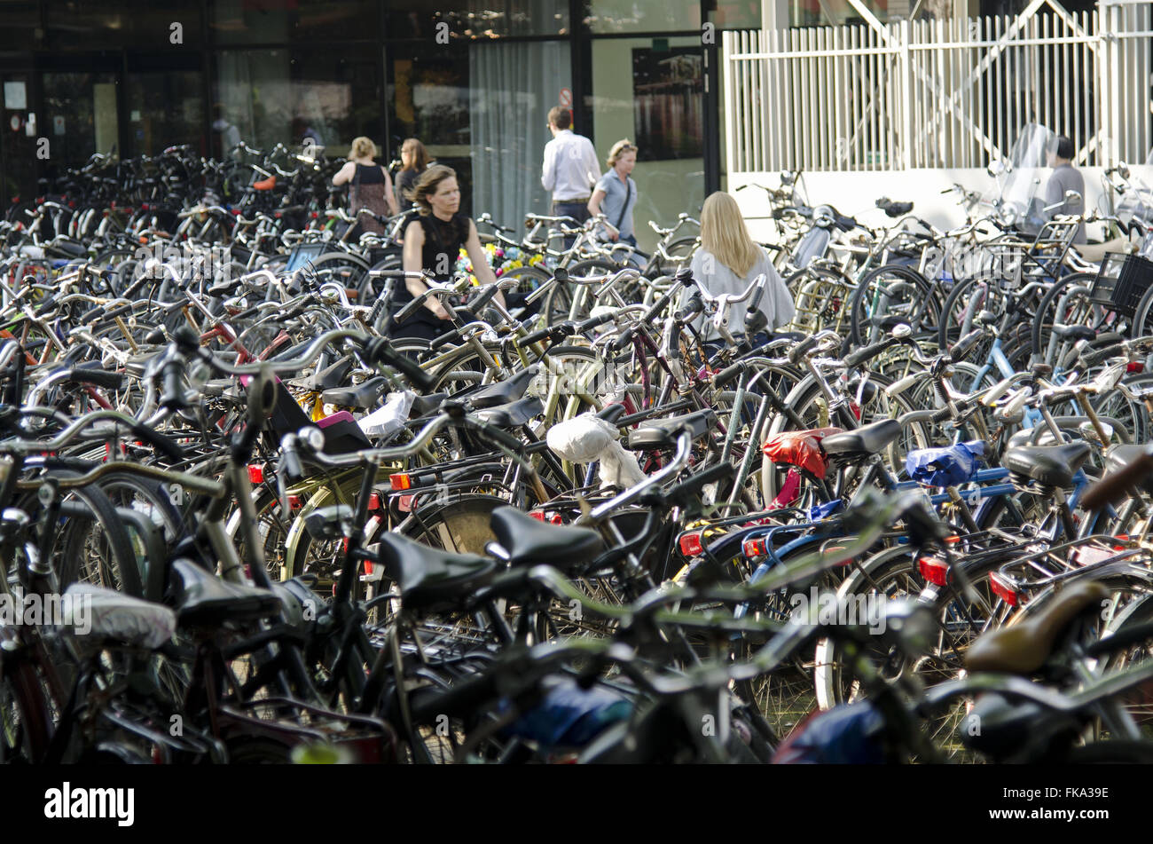 Bicycle parking in Central Station Centraal Station Stock Photo Alamy