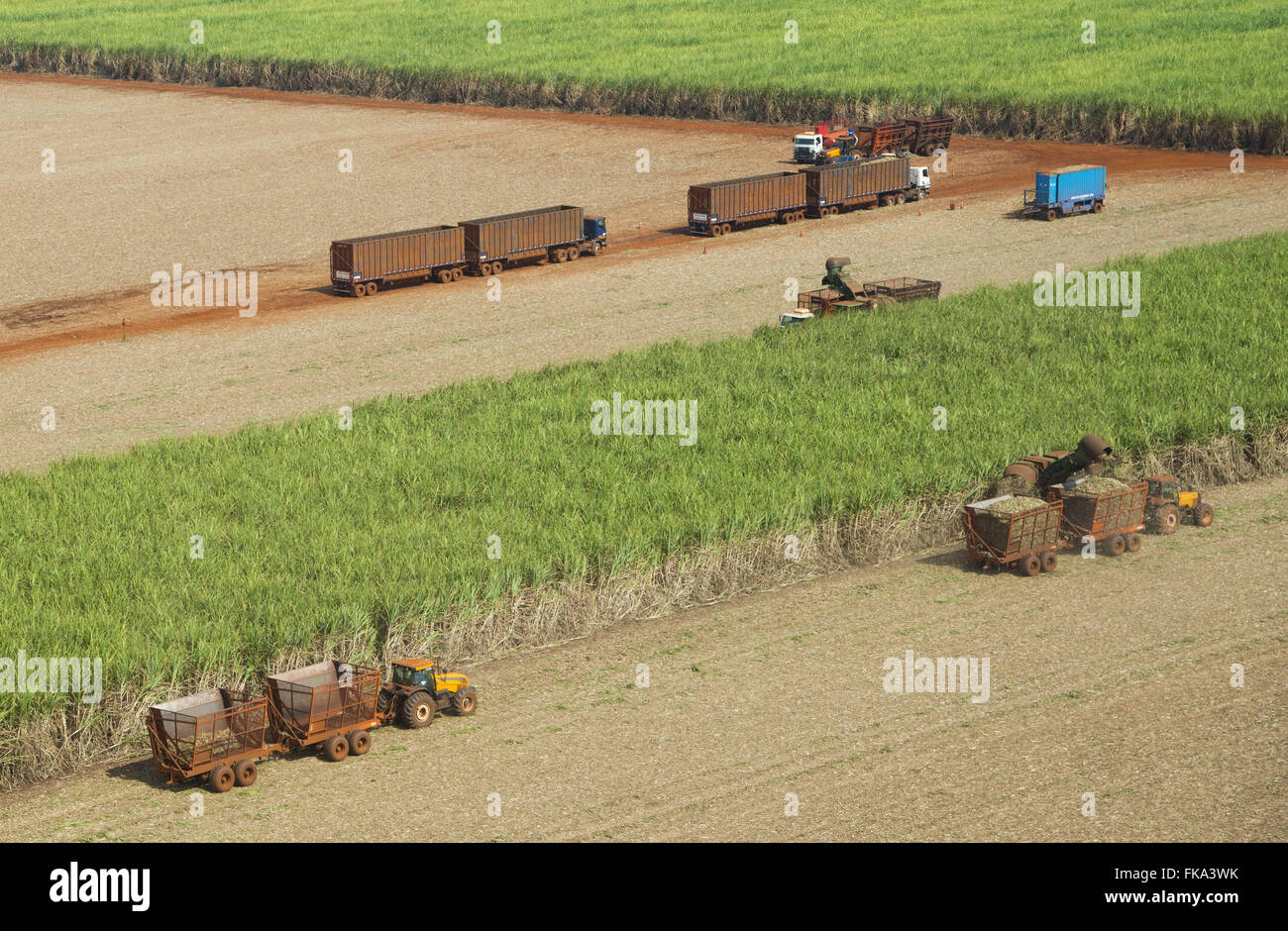 Sugar cane harvest hires stock photography and images Alamy