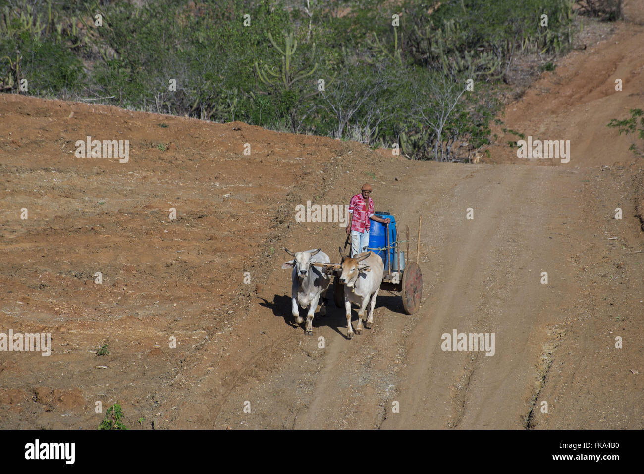 Backcountry with oxcart fetching water to village in the countryside Stock Photo