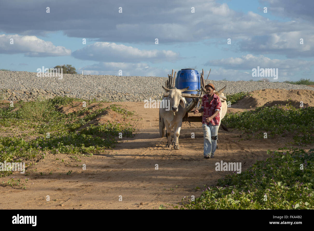 Backcountry with oxcart fetching water to village in the countryside Stock Photo