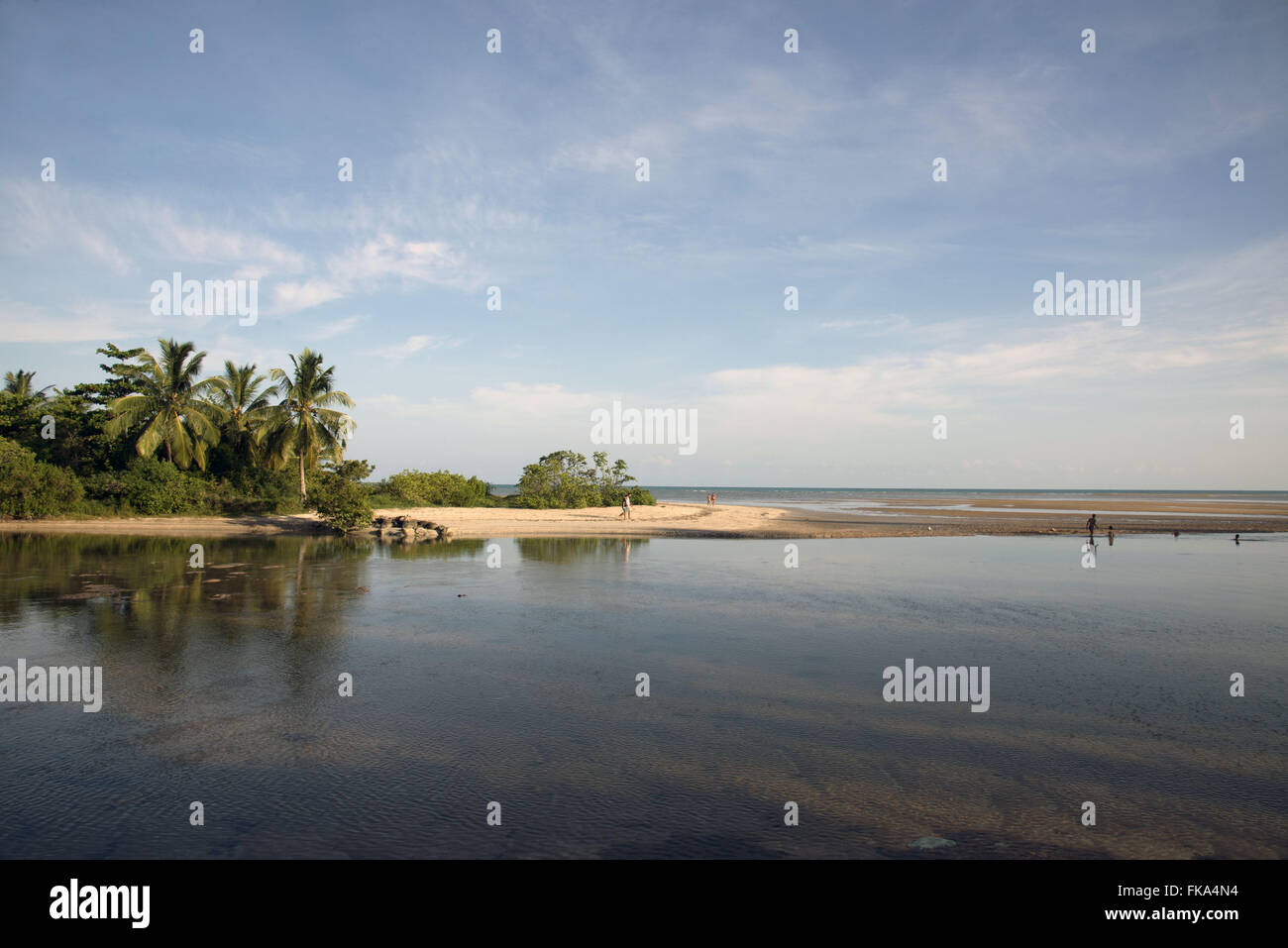 Mare low the mouth of the river on the beach Maragogi Camacho Stock Photo