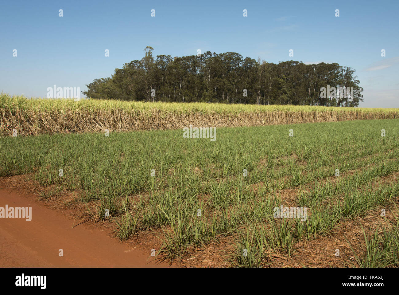 Propriedade hi-res stock photography and images - Alamy