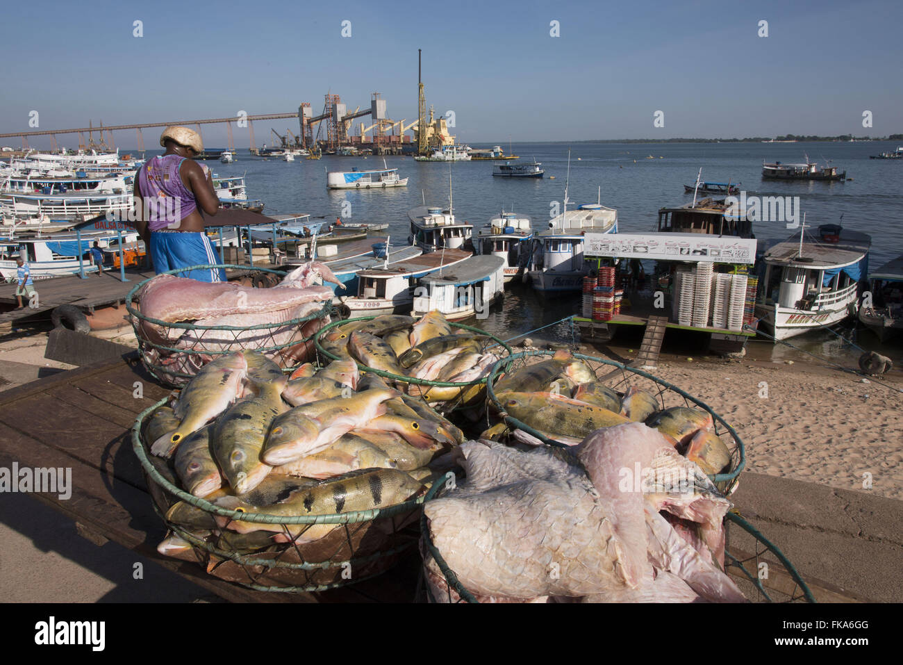 Fish sale boat hires stock photography and images Alamy