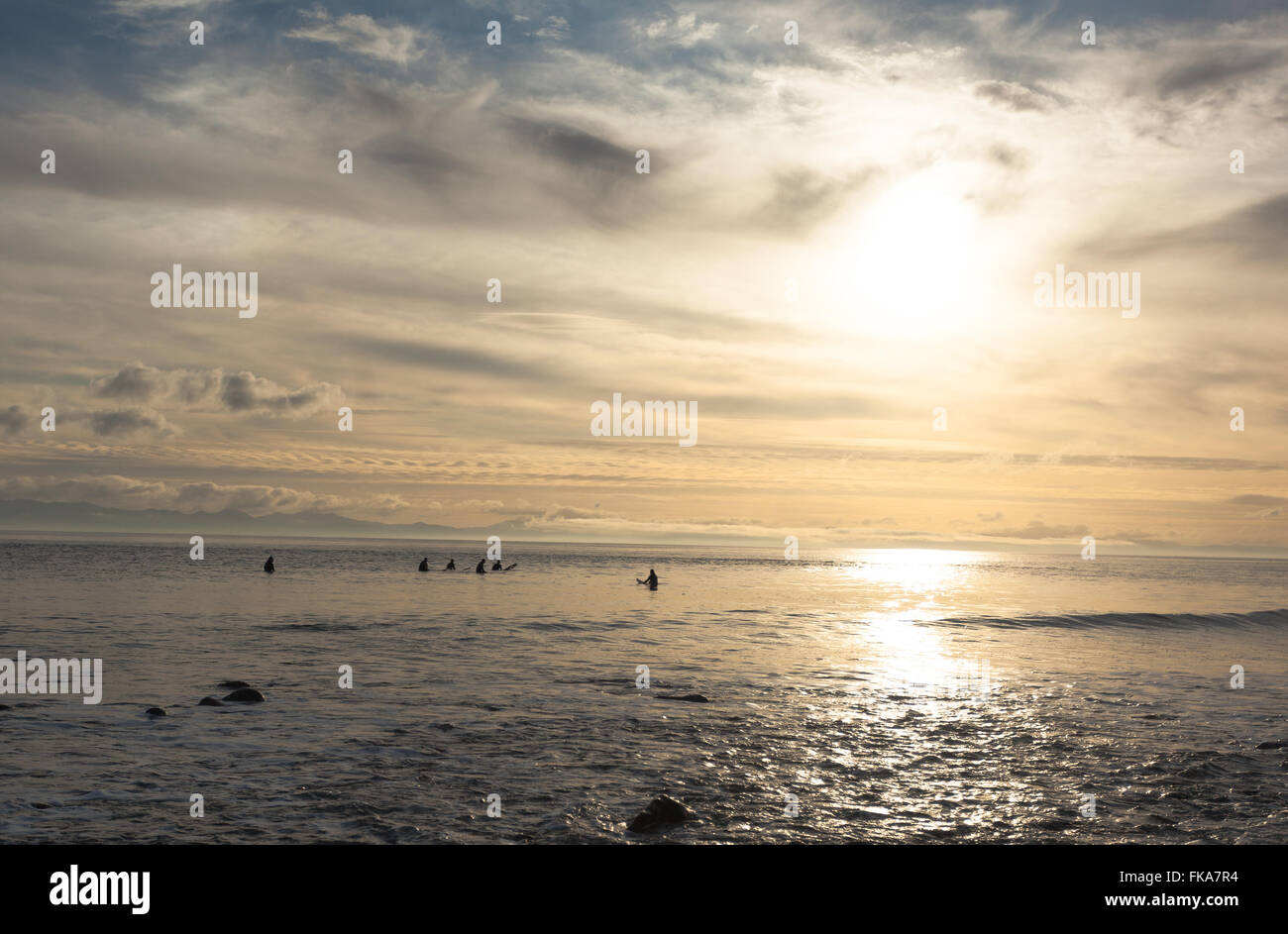 Sunset Surf session on the West Coast, Jordan River, BC Stock Photo