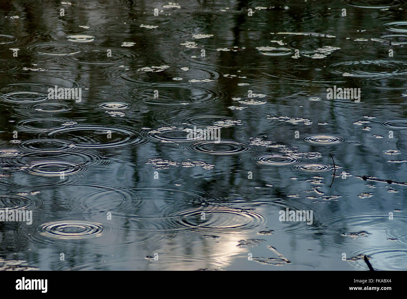 Pond at park in slight rain, Sofia, Bulgaria Stock Photo