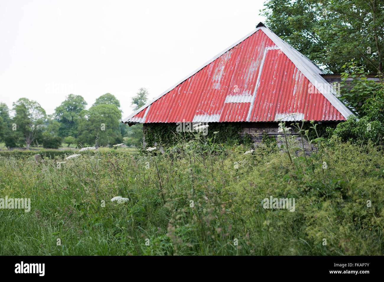 Old red tin roofed barn in a farmers field Stock Photo Alamy