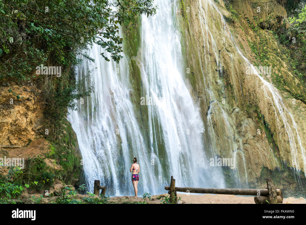 waterfall  Salto El Limon in Limon near Las Terrenas, Samana,  Dominican Republic, Carribean, America, Stock Photo