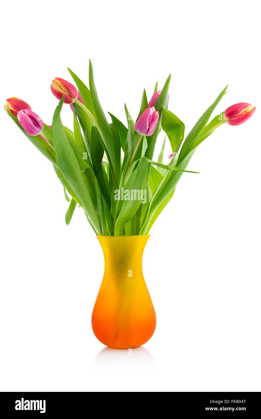 Tulips bouquet in glass vase isolated on white background Stock Photo ...