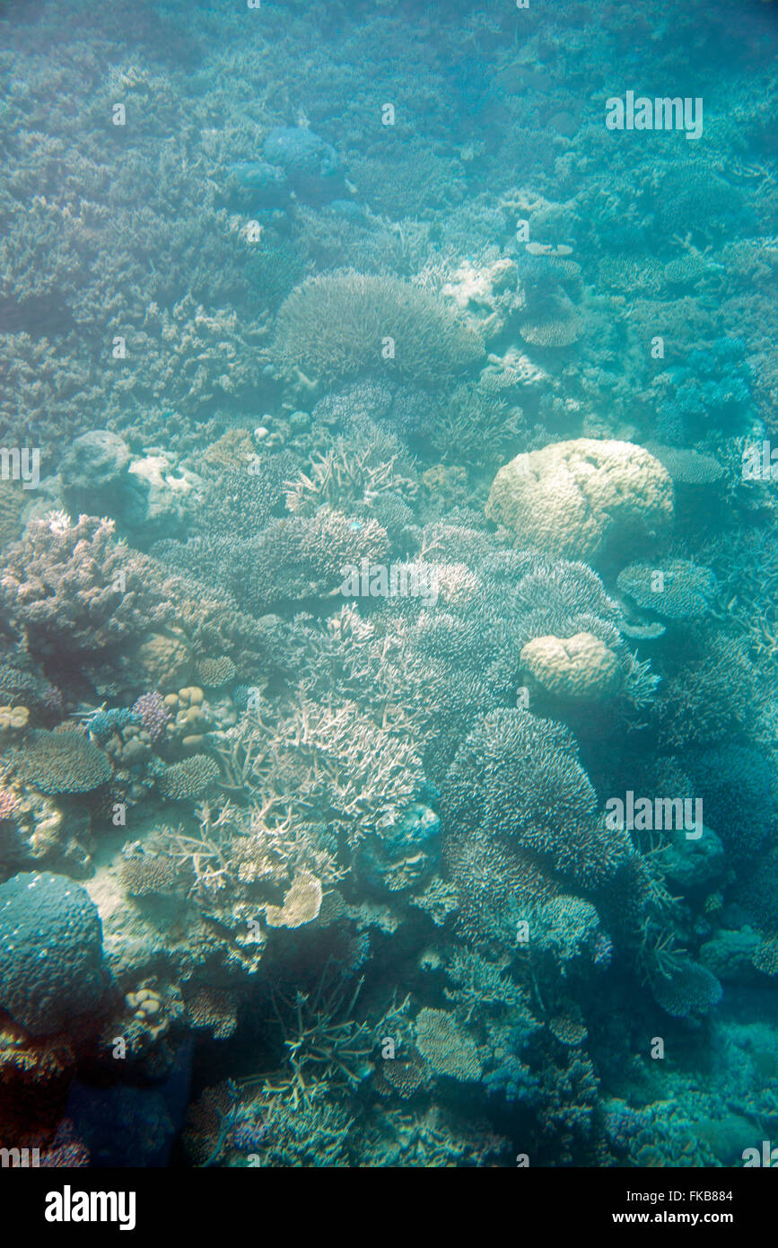 Cloudy sea conditions through a porthole of a mini tourist submarine where very few fish were to be seen in the depths of the Ag Stock Photo