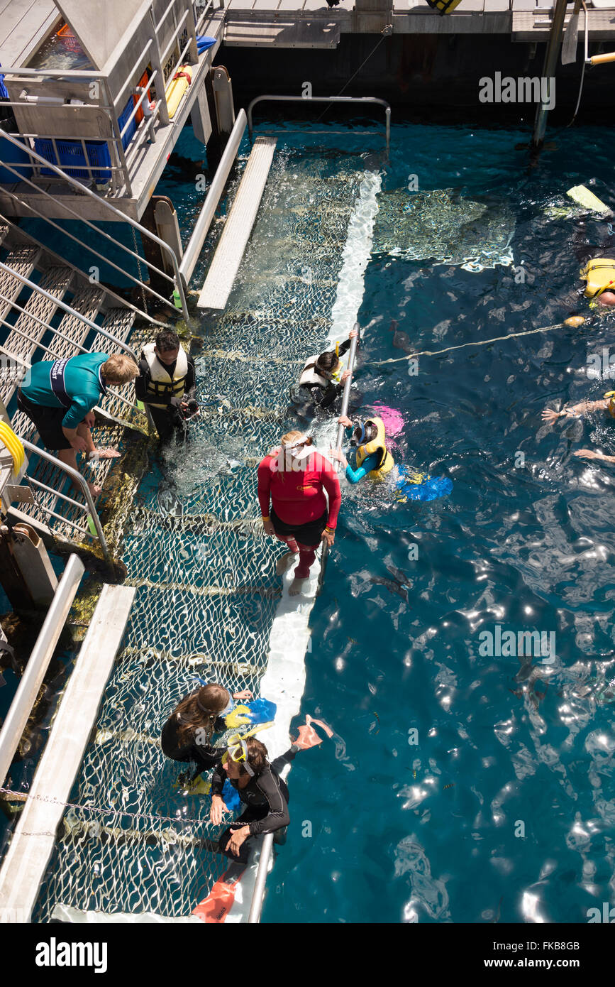 Tourists wearing diving suits and snorkels around the introductory diving pool which is attached to the large floating platform, Stock Photo