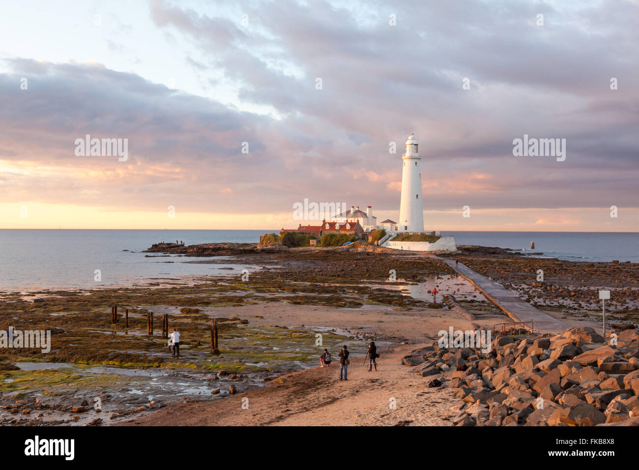 Photographers on the Rocks at St Mary's Island in the low evening warm light, Whitley Bay, Tyne and Wear, UK Stock Photo