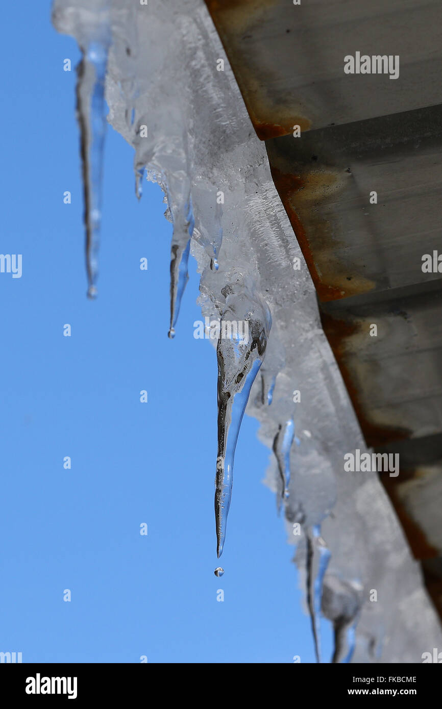 Snow and icicles hanging over the roof's edge against clear blue skies Stock Photo